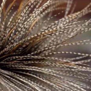 50 long Hair Extensions Natural Colors